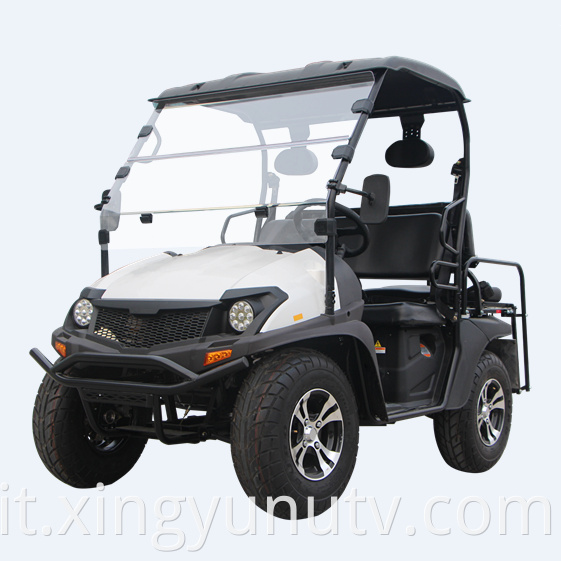 2021 Vendita calda di alta qualità 5kw Electric UTV EEC CEE Electric Golf Cart